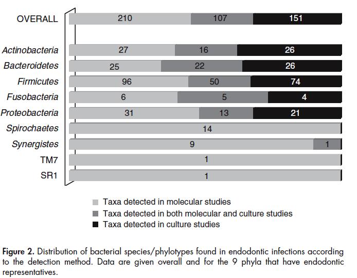Distribution of bacterial species/ phylotypes found in endodontic infections according to the detection method.
