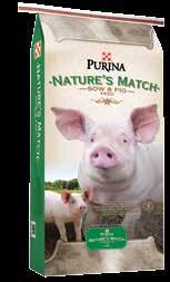 Nature s Match feeds contain plant-sourced ingredients and other functional compounds including vitamins,