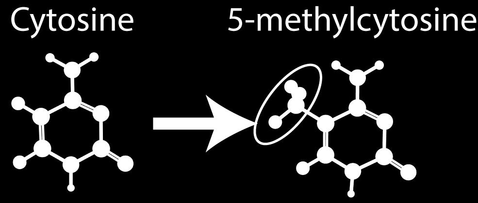 Nanopore: Methylation