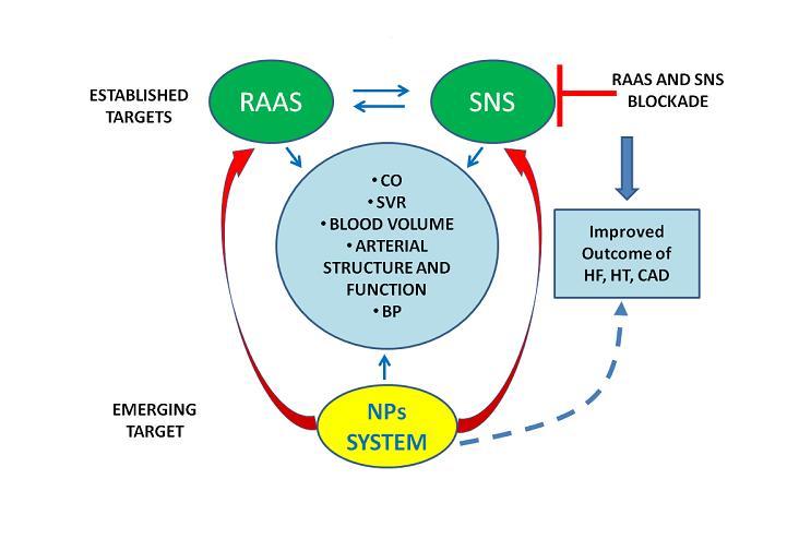 NPs-based therapies as promising tools for the