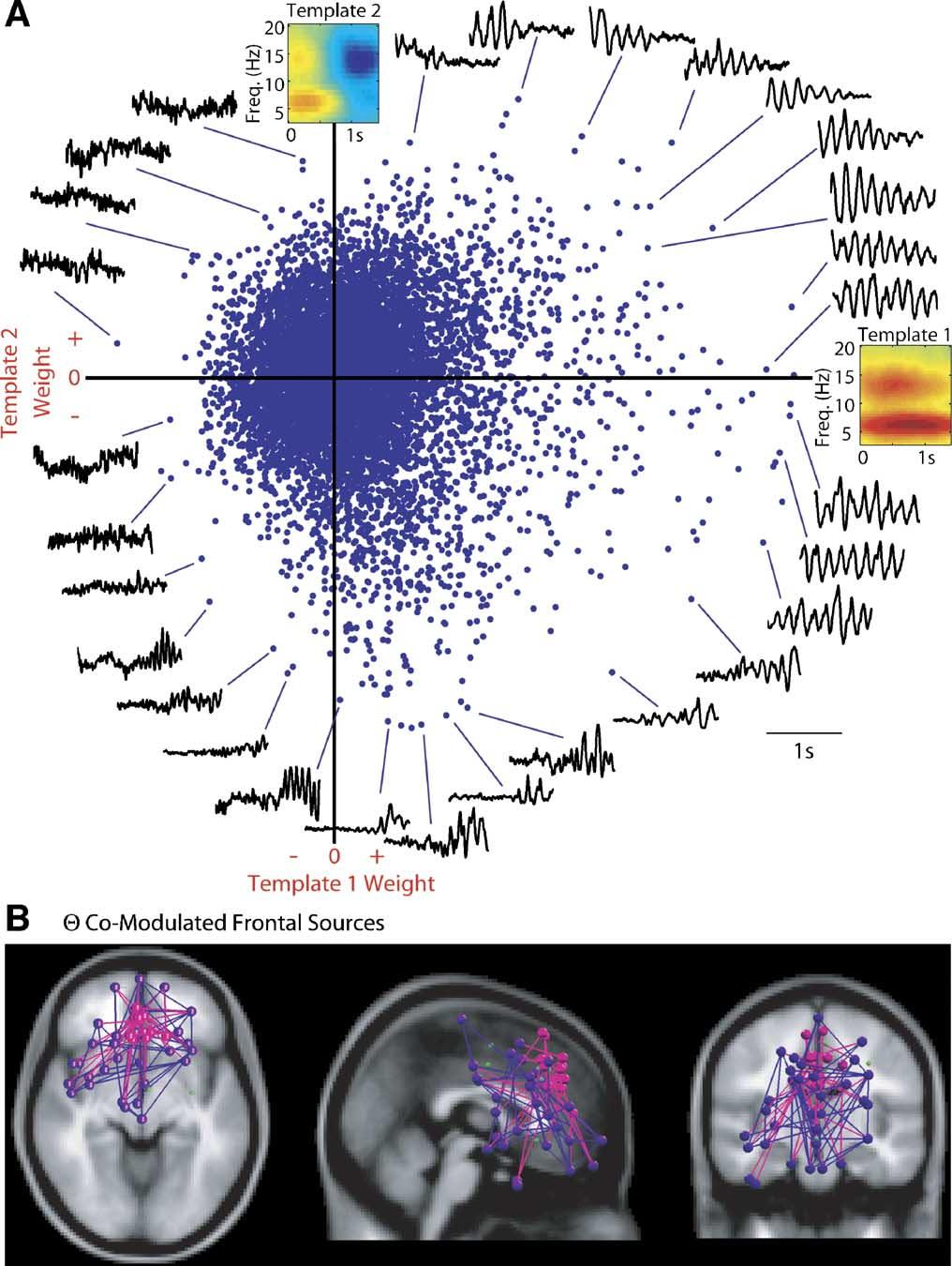 350 J. Onton et al. / NeuroImage 27 (2005) 341 356 Fig. 5. (A) Scatter plot showing single Memorize-letter trial weights (dots) for ERSP templates 1 and 2. The (1.
