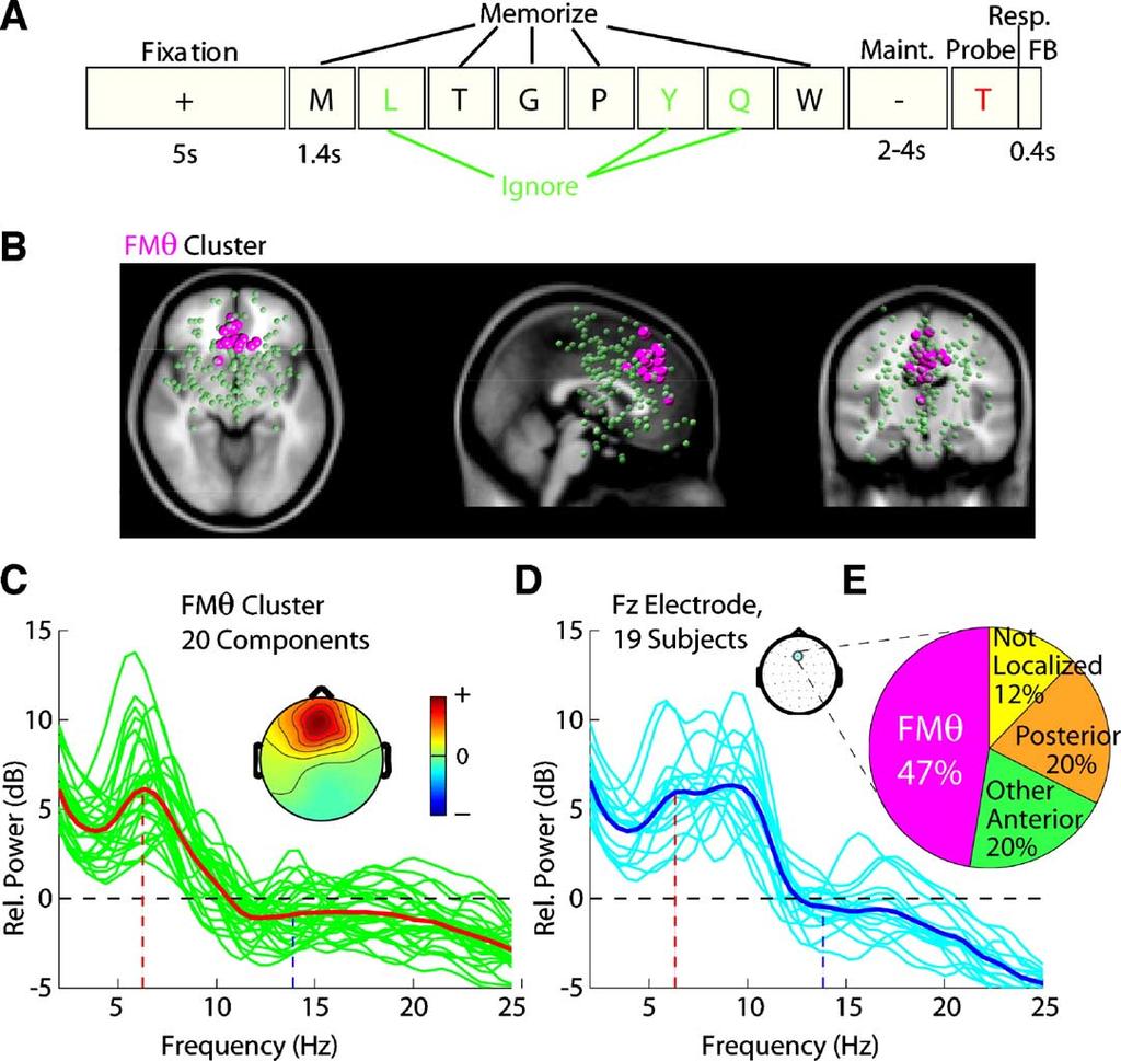 J. Onton et al. / NeuroImage 27 (2005) 341 356 343 Fig. 1. Sternberg task and fmu cluster locations and spectra. (A) Schematic of the modified Sternberg memory task.