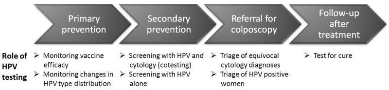 Role of HPV testing Persistent infection with HR-HPV is necessary for the development of cervical cancer and therefore HR-HPV testing is considered an alternative