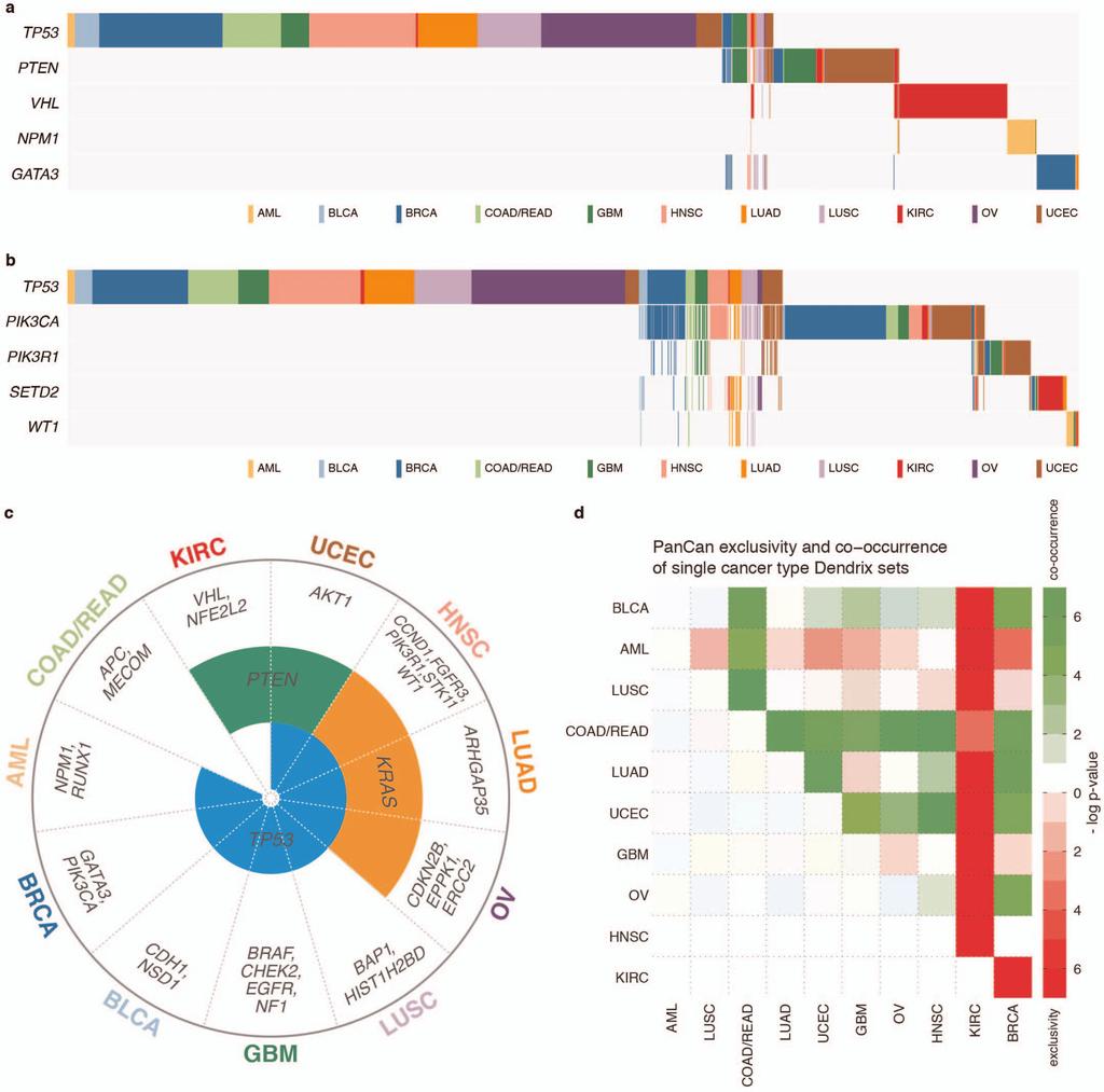 RESEARCH ARTICLE Extended Data Figure 5 Mutually exclusive mutations identified by Dendrix in the Pan-Cancer and individual cancer type data sets.