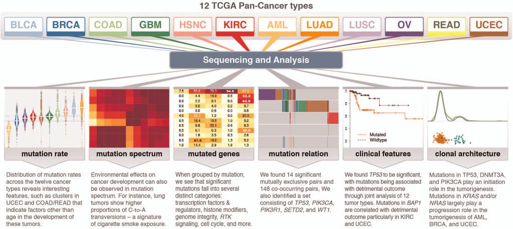 ARTICLE RESEARCH Extended Data Figure 9 Summary of major findings in Pan-Cancer 12.