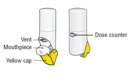 Instructions for Use AIRDUO RESPICLICK (ayr due oh res-pē-klik) (fluticasone propionate and salmeterol) inhalation powder 55 mcg/14 mcg AIRDUO RESPICLICK (ayr due oh res-pē-klik) (fluticasone