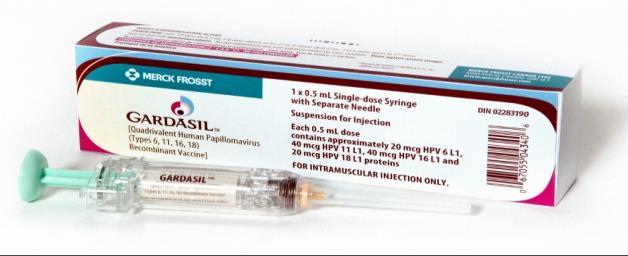 1- Gardasil: Three different vaccines have been developed against HPV : Notes are Important FDA licensed Gardasil in June 8, 2006.