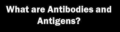 What are Antibodies and Antigens?