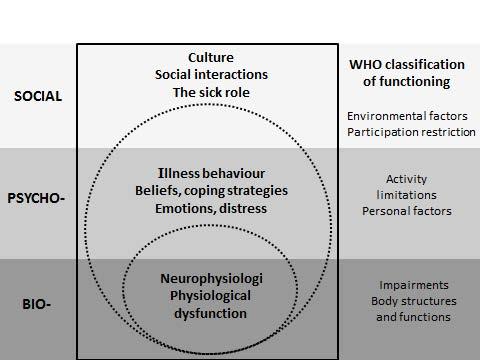 BACKGROUND Figure 1. The biopsychosocial model of disability with components of the ICF adapted from work by Waddell and Burton (94). Published with permission from Burton.