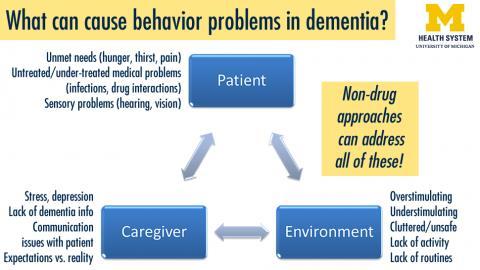 Categorizing behavior problems Neuropsychiatric