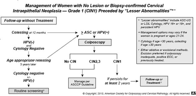 Case 4 A 43 year old woman has a Pap smear read as AGC (atypical glandular cells)-not otherwise specified (NOS). Observation ok for CIN1 preceded by ASC-US, LSIL, HPV +.