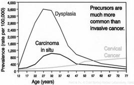 Risk Factors For Cervical Dysplasia and Cancer: Multiple Sexual Partners Natural Course of HPV Infection Number of Sexual Partners Relative Risk Without Smoking 0-1 1.