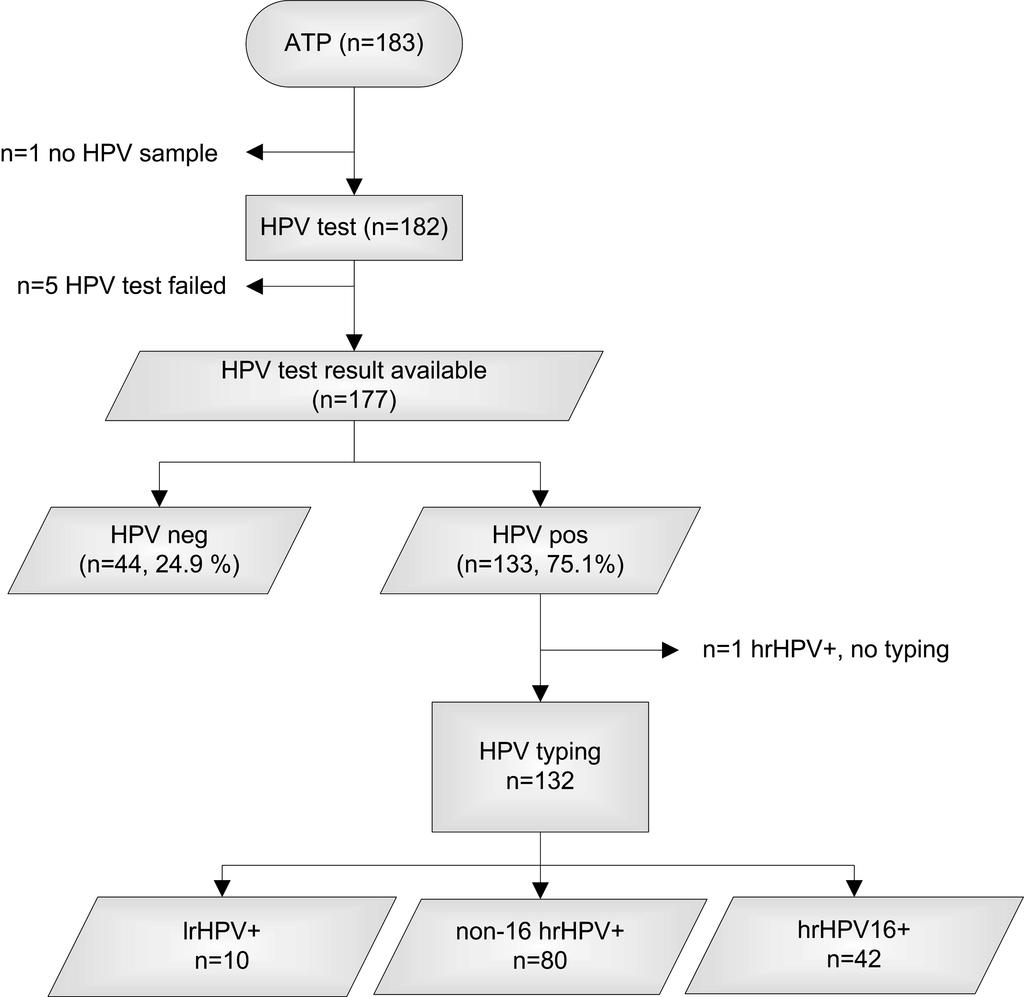 Chapter 5 Figure 1: Flowchart of women in the according-to-protocol (ATP) cohort of the DSI validation Study.