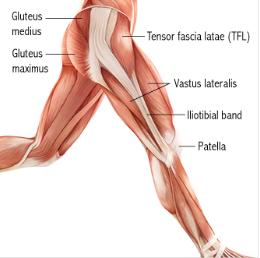 Common Conditions and Injuries of the Knee Iliotibial Band (ITB) Syndrome Ø The ITB is fascia, a connective tissue that gives structure to the body.