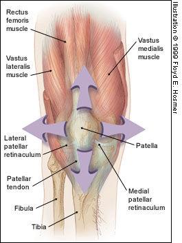 Articular Cartilage Doesn t Hurt Soft tissue overload Dye = Equilibrium of knee forces =