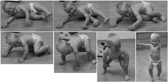 Motor development of the child demonstrates ideal motor patterns DEVELOPMENTAL KINESIOLOGY Emphasizes the existence of Central Locomotor CNS