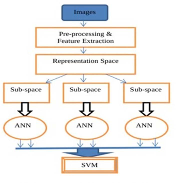 Figure 6. Using SVM to aggregate the classify results of all sub images 4.