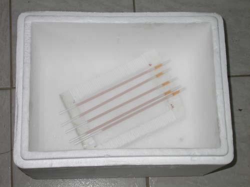 Cryopreservation of fish sperm