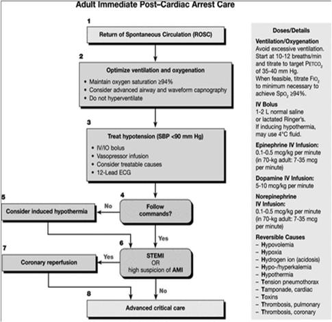 Web-based Integrated Guidelines for Cardiopulmonary Resuscitation and