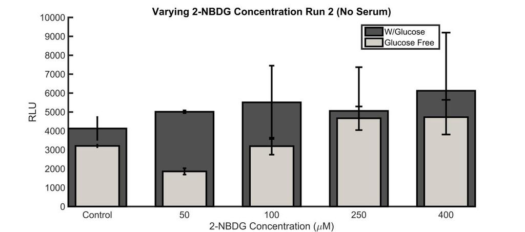 20 2-NBDG Concentration vs.