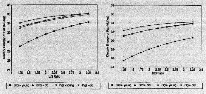 U:S Ratio and FFA on Energy Value Wiseman et al., 1998 Low FFA High FFA Increase unsaturation = increased energy value.