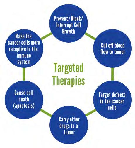 What do targeted cancer therapies do?