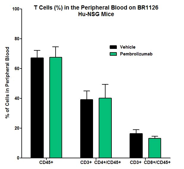 BR1126 in Hu-NSG TM Mice: Flow Data (T Cells) No Correlation of