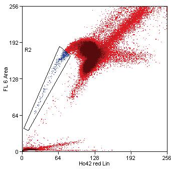 Typically, Hoechst 33342 is excited in a flow cytometer equipped with a UV laser, and emits in two wavelengths, Hoechst blue (450/20nm) and Hoechst red (670/40nm).