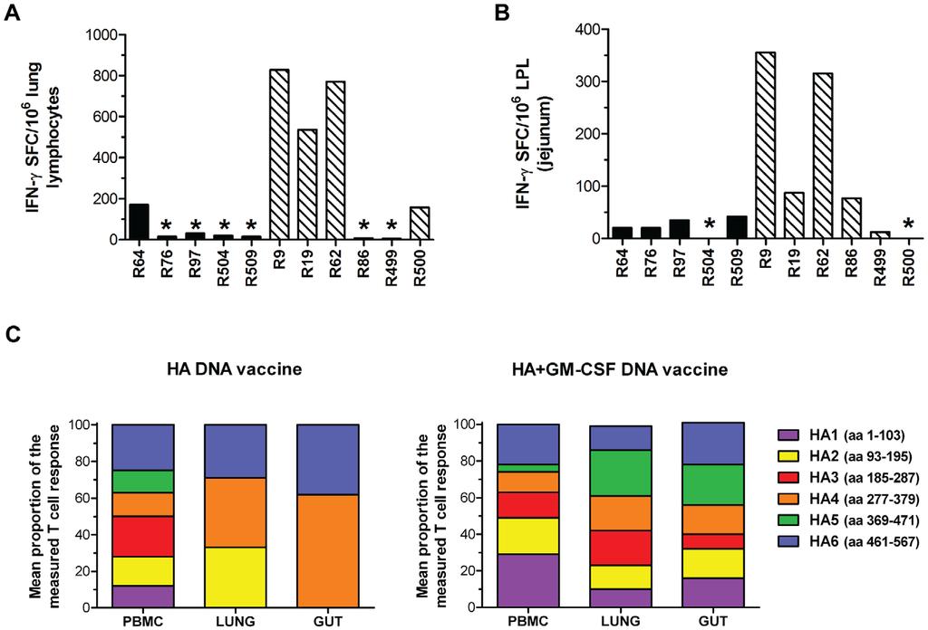 Figure 5. The GM-CSF genetic adjuvant increases both the magnitude and breadth of mucosal T cell responses elicited in the lungs and guts following PMED HA DNA vaccination.