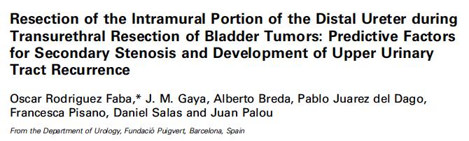 Tumor in the IMPDU is unusual (finding of tumor in UO during TURBT) Complete TURBT (wide resec?