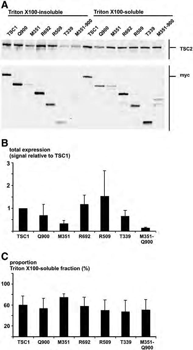 778 M. Hoogeveen-Westerveld et al. / Biochimica et Biophysica Acta 1802 (2010) 774 781 Fig. 4. Effect of the M224R amino acid substitution on expression of the R692 truncation protein.