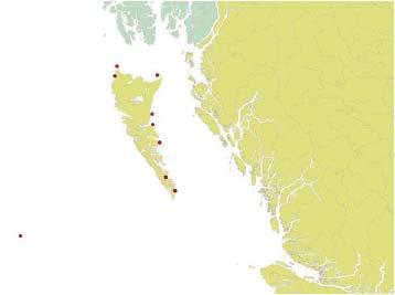 Locations of Cuvier s beaked whale sightings and strandings near Queen Charlotte Basin as reported by Willis and Baird