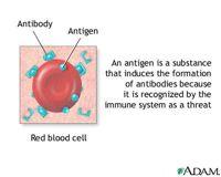 He determined: a.! All blood groups are defined by the antigens on their Red Blood Cells and antibodies in their serum b.
