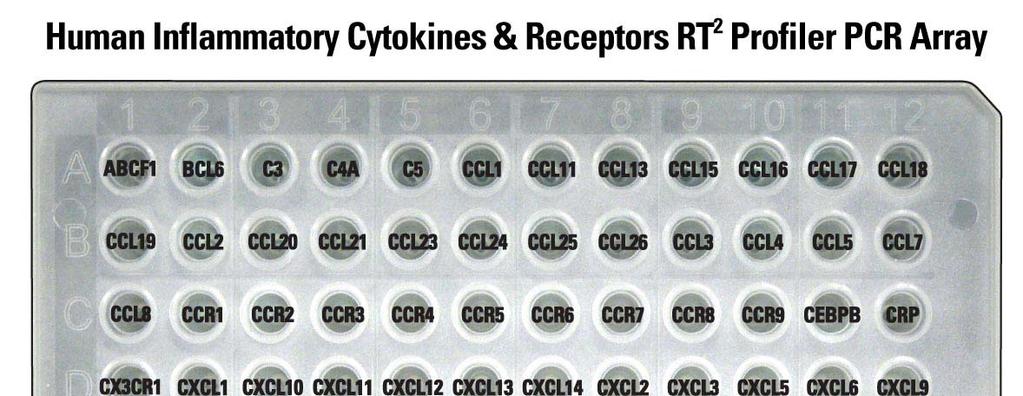 Anatomy of a RT 2 Profiler PCR Array (for mrna