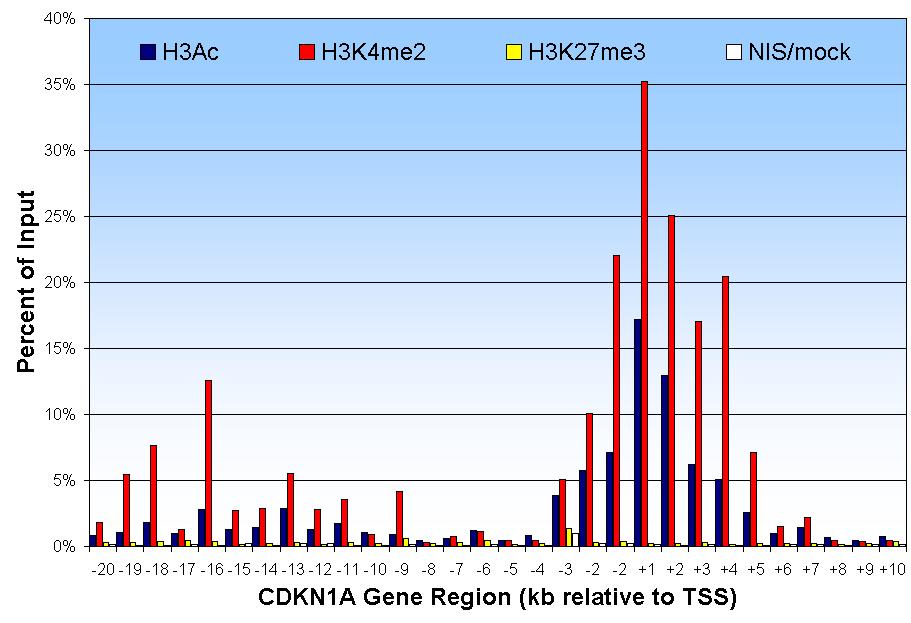 Modified Histone Distribution Across a Promoter -1 Custom ChIP PCR Array for Entire CDKN1A Gene Histone markers for actively transcribed genes