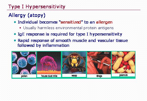 Slide3 of 27 Virology