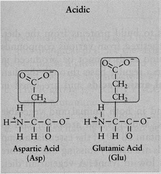 Acidic R Groups and Amino Acid Nomenclature Remember the acid/base chemistry of carboxylic acids and amines.
