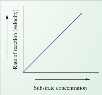 Enzyme concentration Factors Affecting Enzyme-Catalyzed Reactions Assuming a sufficient concentration of substrate is