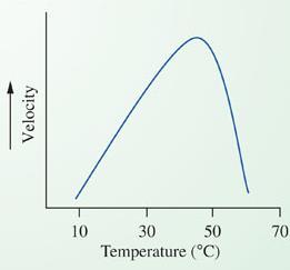 temperature however, an enzyme has an optimum temperature associated with maximal function Catalyzed reaction Optimum temperature is usually close to the temperature at which the enzyme