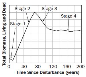 10. Over many years, scientists study a community in an area after a volcanic eruption and create a graph like the one shown. Which conclusion can be made regarding the cause of Stage 4? a. Stage 4 occurred because this period is necessary for populations to increase.
