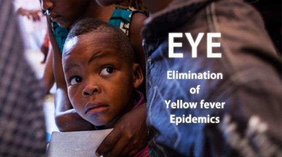 Yellow fever lessons and next steps POSITIVE CHALLENGES NEXT 1.
