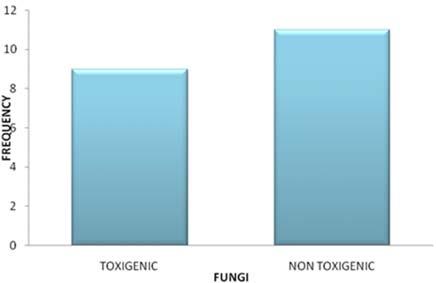 Table 3: Isolation frequency of fungal isolates Fungal Isolates Number Of Isolates Isolation Frequency N = 14 (%) N=14 Mucor spp 2 8 Rhizopus spp 2 8 Penicillium spp 8 32 Aspergillus niger 5 20