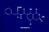 kidney, blood Human blood, milk Ochratoxin A: especially associated with stored