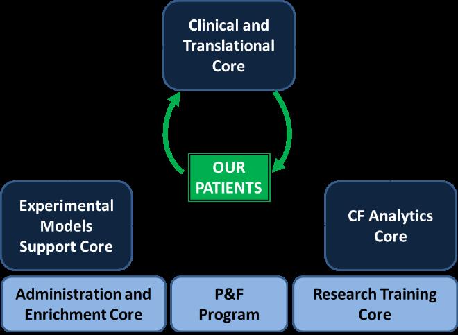 Organizational structure of the CF@LANTA RDP