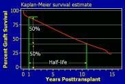 Results of Kidney Transplantation Graft survival rate Patient survival rate Half-life(t 1/2 ) Functional graft survival rate (death-censored) Definition of graft fail Graft nephrectomy Convert to