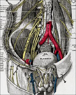 Paresthetica Benign sensory-only nerve palsy Rule outs are important L4 root injury Lumbar