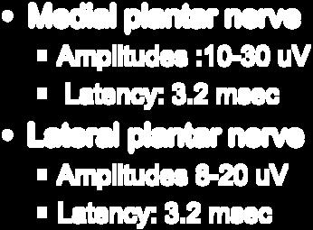 2 msec Lateral plantar nerve Amplitudes 8-20