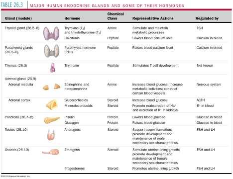 Other organs (such as the stomach) are primarily nonendocrine but have some cells that secrete hormones. Figure 6.