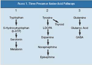 Nutriceutical Choices Amino acid precursors Promote neurotransmitter
