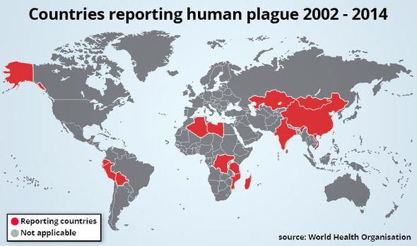 Known as black death, plague was infamous for killing millions of people in Europe during the fourteenth century.